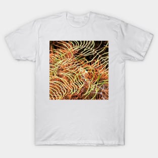 Patterned Fern Leaves and Branches T-Shirt